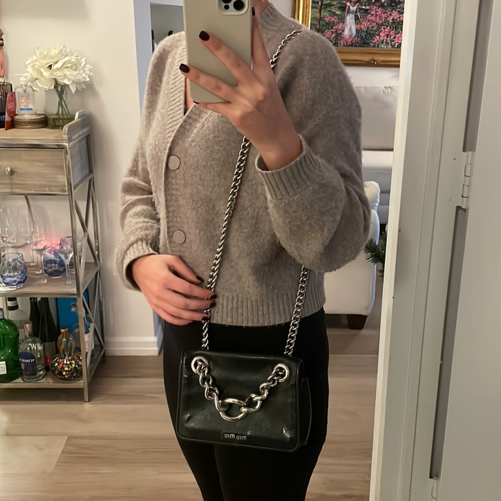 Miu Miu bag